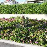 キャンプ場 Mobile Homes Sara - Camping Turanj , Adriatic , Dalmatia トゥラニ